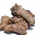 /msite/products/detail/productid/56949124/id/645581.html